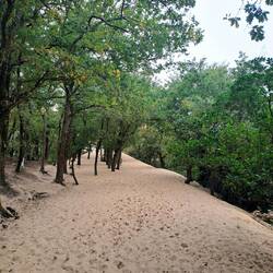 Dune du Pilat