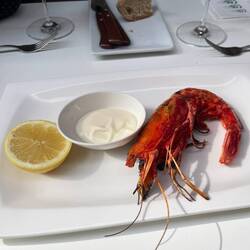Carapeina shrimp from southern Spain