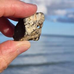 Da isser ,der Hühnergott