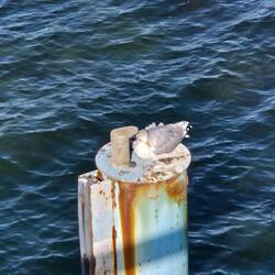 Immer dieselben..überall