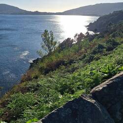 Camino a Finisterre...