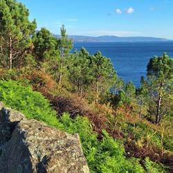 ... bordeando el mar.