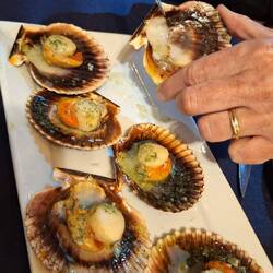 Zamburinhas. Pa cagarse di hambre.