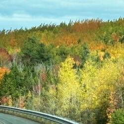 More color on the drive