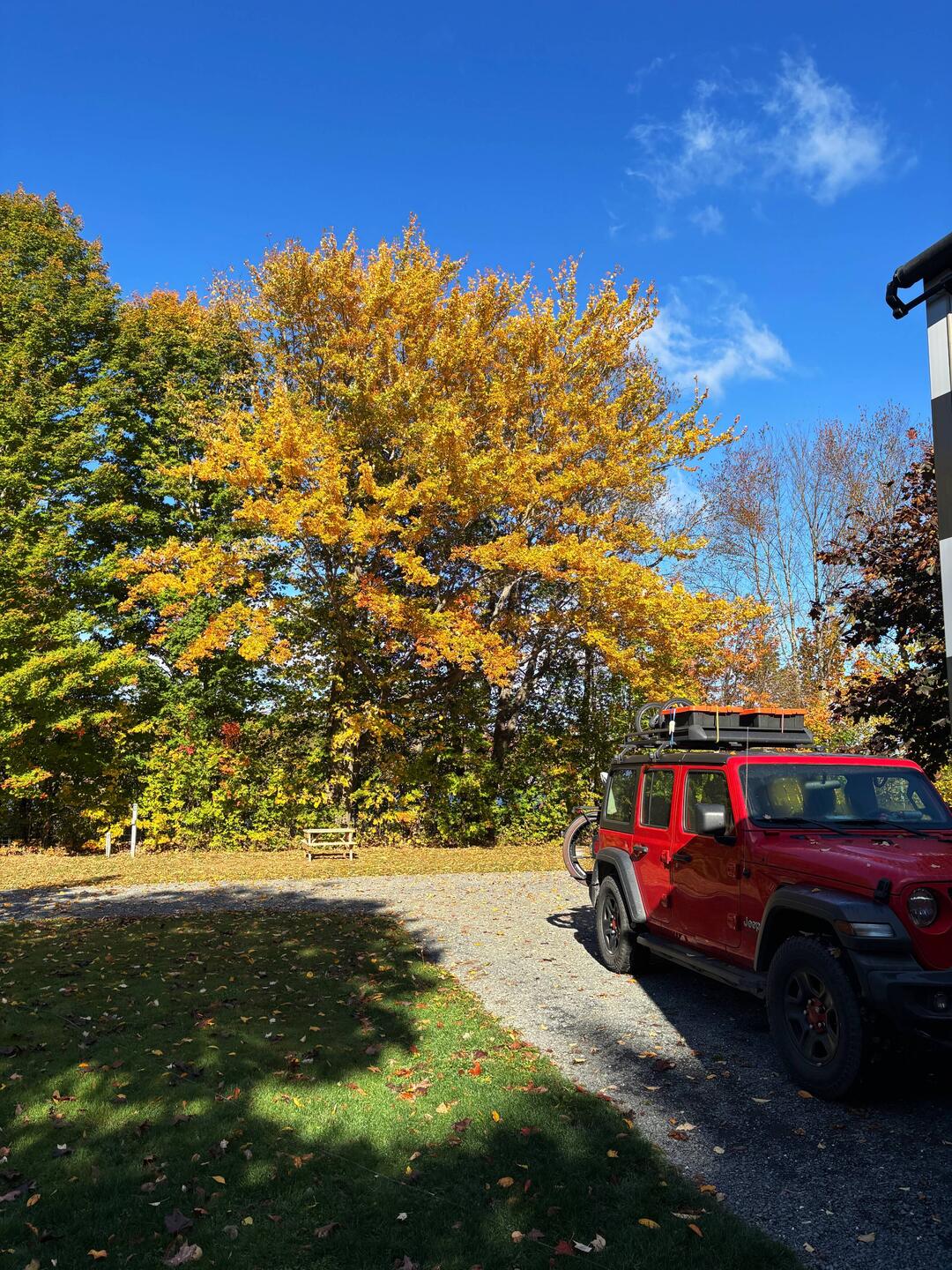Morning light on the color in the campground