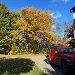 Morning light on the color in the campground
