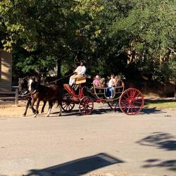 Mehrere Fiaker sind unterwegs