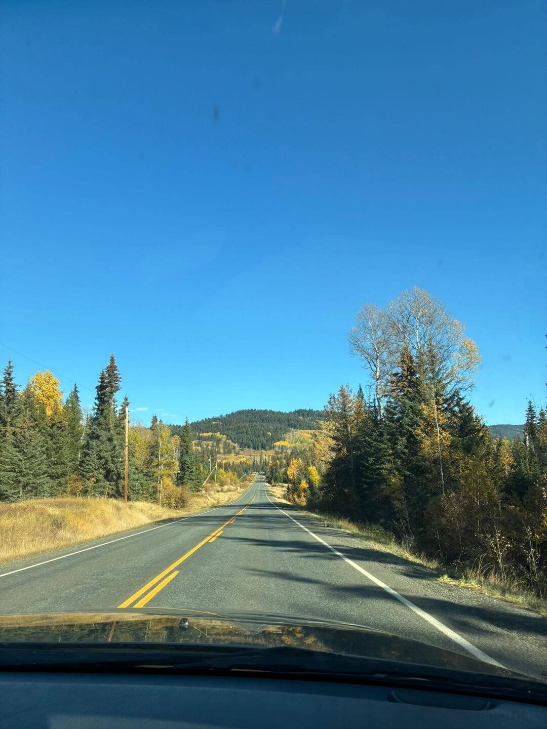 Die Sonne begleitet uns auf dem Highway durch das herbstliche British Columbia.