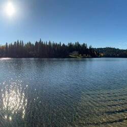 Goldene Ufer und klare Luft – ein perfekter Herbsttag am Bridge Lake.