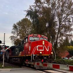 Nirgends wartet man länger am Bahnübergang als in Fort Langley.