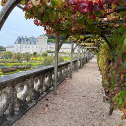 Gardens and a view of the Chateau