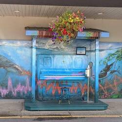 ein Fassadenbild aus Chemainus