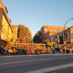 Downtown - The Local