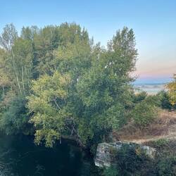 Beautiful misty morning as we left Mansilla de las Mulas.