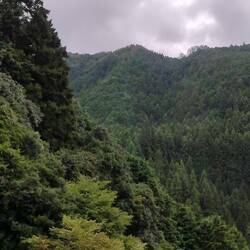 Landschaft zwischen Koyasan und Osaka