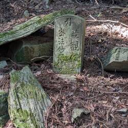 Stone by path