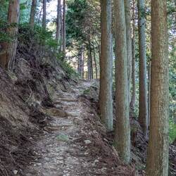 Steep path