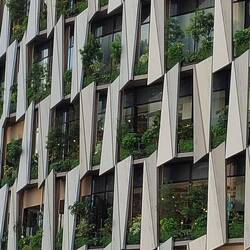 ... Klimaschutz mit natürlichen Pflanzen