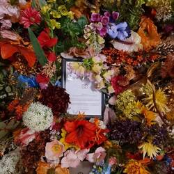 Hotel am Blumenmarkt ... also Blumen auch im Hotel