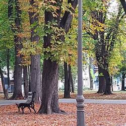 Herbst am Kalamegdan