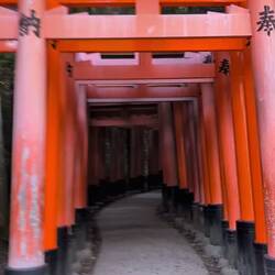 Ein Stück ohne Menschen (fast)