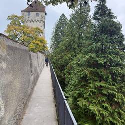 Henry on the city wall