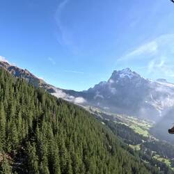 The forest was pretty impressive beneath us