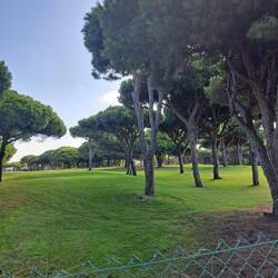 Auf dem Golfplatz
