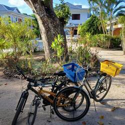 Unsere Drahtesel für die nächsten drei Tage.