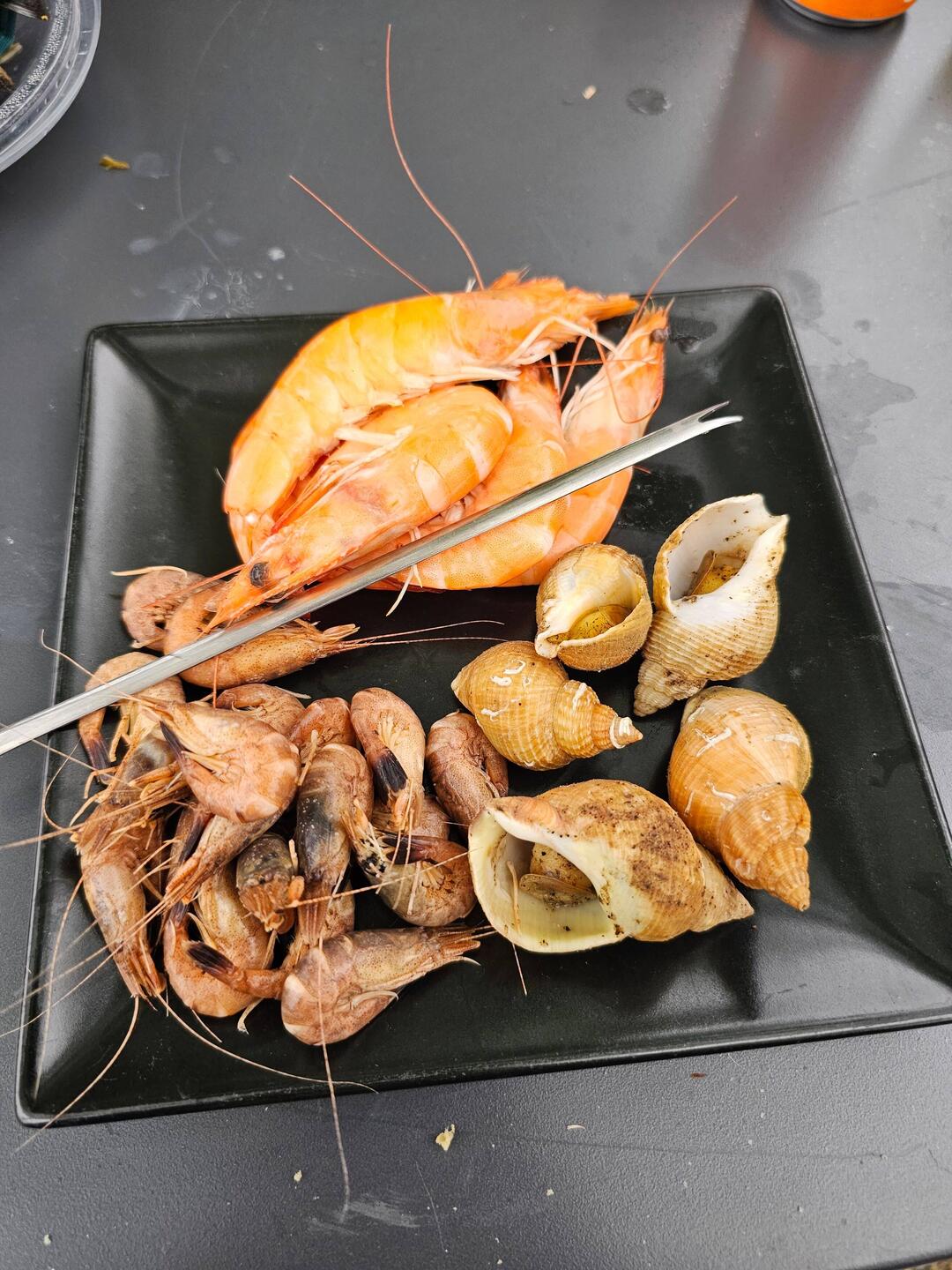 Vorspeise, zweite Vorspeise war Fischsuppe und Hauptgericht Muscheln