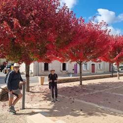 Beautiful autumn colour