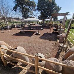 Mittagspause auf einem Weingut