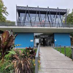 das kleine Fliegermuseum