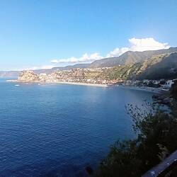 Scilla