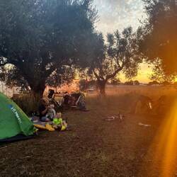 Bivouac sous les oliviers