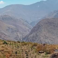 Little orchard in the middle of the cliffs