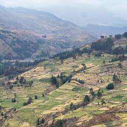 Now out of the canyon, and back to fields