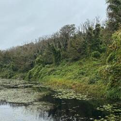 Bosherston Lily Ponds
