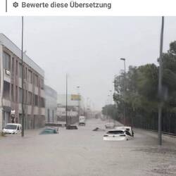 ELCHE - am nächsten Tag....