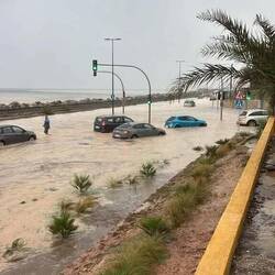 Alicante