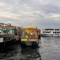 Fischbrötchen vom Kutter direkt kaufen?