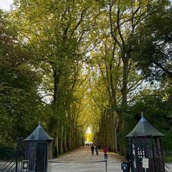 Driveway up to Château de Chenonceau