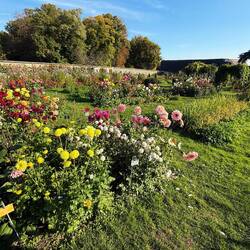 View across the garden