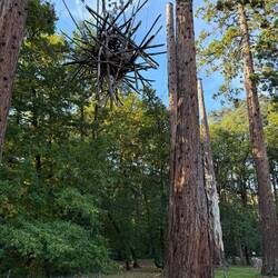 Sculpture in the grounds of the garden