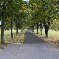 Riesiger Park/Gelände, das zu besichtigen ist