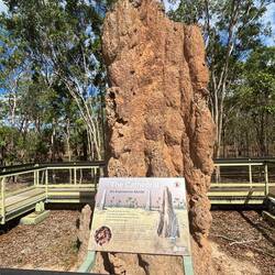 The Cathedral über 5 Meter hoher Termitenbau