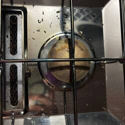 Mücken lieb(t)en es heiß 🫣