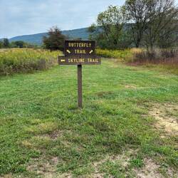 Bald Eagle State Park Howard PA