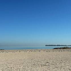 Maumee Bay o Lake Erie