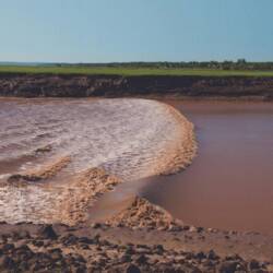 Tidal Bore